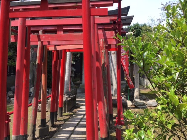 torii
